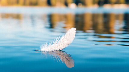 A delicate feather floats gently on calm water, reflecting its beauty in serene surroundings.