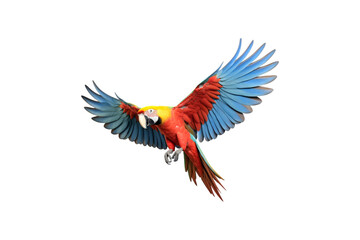 Obraz premium The image features a red scarlet macaw bird, its wings spread out. Suitable for website backgrounds or marketing materials for nature, wildlife, tropical themes, and bird enthusiasts