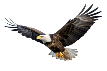 Fototapeta premium Bald eagle in flight with detailed feathers PNG on transparent background ideal for wildlife design projects and nature-themed graphics