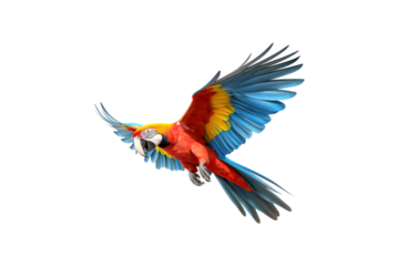 The image features a red scarlet macaw bird, its wings spread out. Suitable for website backgrounds or marketing materials for nature, wildlife, tropical themes, and bird enthusiasts