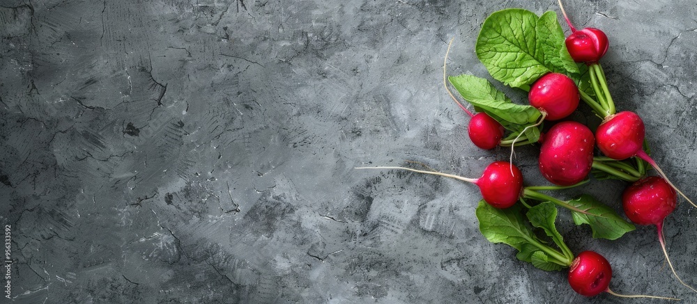 Aufkleber radishes from a fresh organic farm displayed on a textured gray background with copy space image