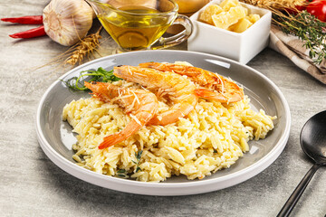 Italian pasta Orzo with prawn