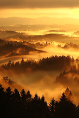 Obraz premium sunset over the misty forest silhouette, hills at golden hour, peacefull landscape 