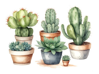 Fototapeta premium Different types of succulents painted with watercolors in pots on white