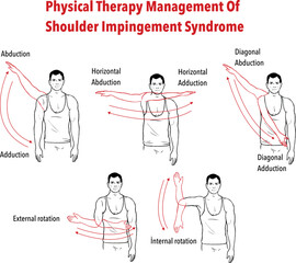 Shoulder Joint Movements vector illustration