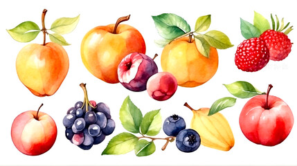 Watercolor set of fruit