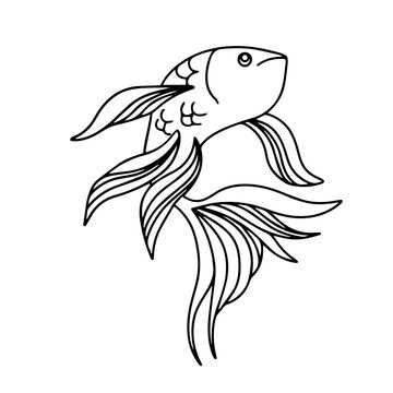 recommend clip art: Vector drawing of fish. Outline illustration of a goldfish. doodle Coloring. Design element for logo, cards, invitations, menus, packaging, posters