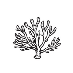 Coral in cartoon, doodle style . Image for t-shirt, web, mobile apps and ui. Isolated 2d vector illustration in logo, icon, sketch style, Eps 10, black and white. AI Generative