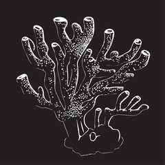 Naklejka premium Coral in cartoon, doodle style . Image for t-shirt, web, mobile apps and ui. Isolated 2d vector illustration in logo, icon, sketch style, Eps 10, black and white. AI Generative