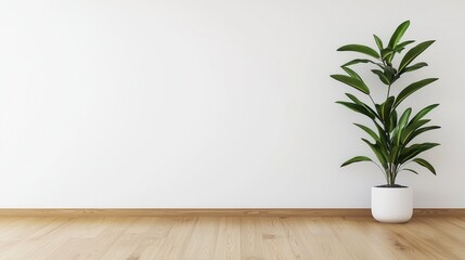 A vibrant indoor plant in a modern pot, enhancing the aesthetic of a minimalist space with wooden flooring and a clean white wall.