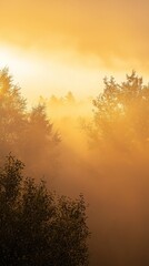 Fototapeta premium Early Morning Sky Soft Mist Golden Light Breaking Through