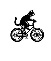 Cat of a bicycle Cycling