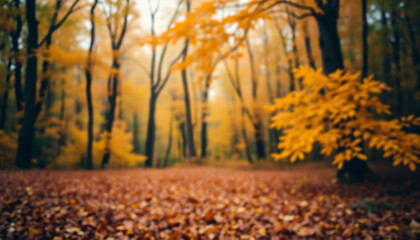 Dreamy autumn scene, blurred autumn forest background