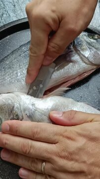 gros plan sur une personne vidant un poisson