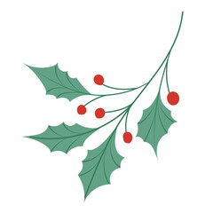 Hand drawn American holly plant, Christmas greenery for décor and wreath. Isolated on white vector illustration