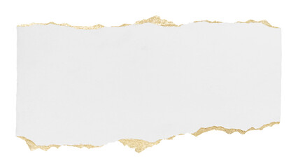 Fototapeta premium Torn paper png cut out collage element shape on transparent background
