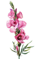 Stunning Snapdragon flower with lush green leaves, perfect for adding a touch of nature's beauty to any design, PNG transparent background