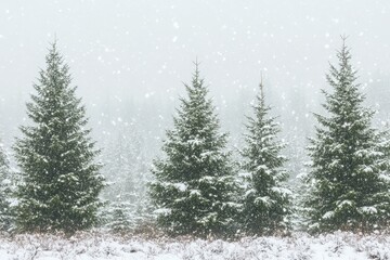 Obraz premium A serene winter landscape with snow-covered evergreen trees amidst falling snowflakes.