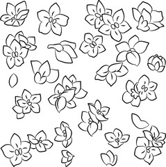 hand drawn simple flowers vector illustration