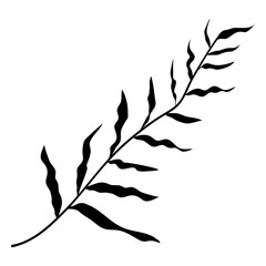 Black leaf png sticker, transparent background