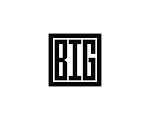 BIG logo design vector template. BIG