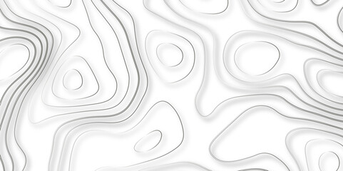A Holistic Approach to Vector Mapping That Integrates Topographical and Topological Concepts to Revolutionize the Design of Geospatial Backgrounds