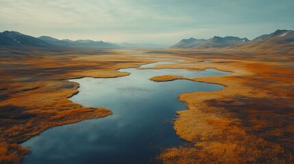 Tundra landscapes above Arctic circle in autumn season Beautiful natural background : Generative AI
