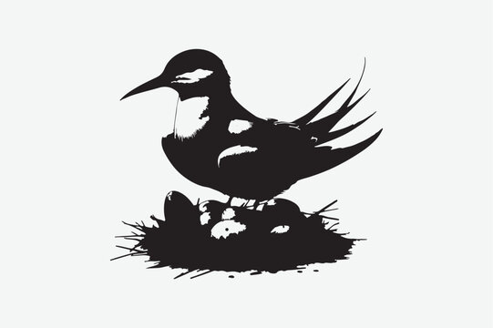 recommend clip art: Common Tern victor art and illustration