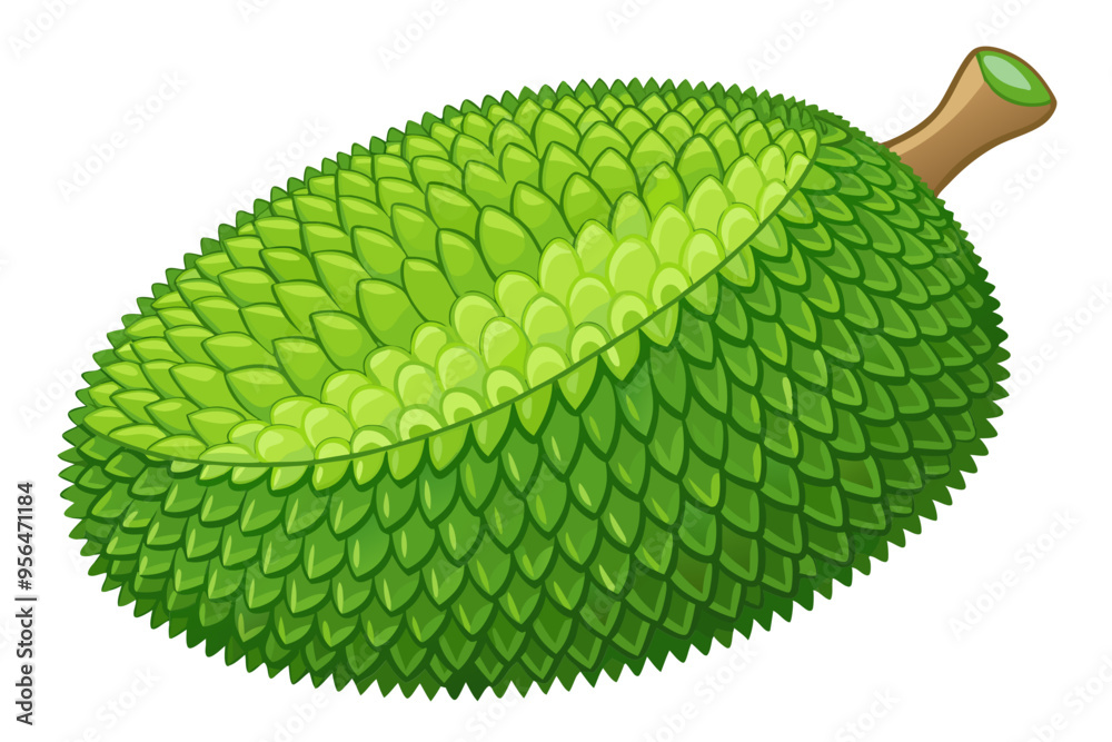 Sticker Jackfruit with Green Seed Coat