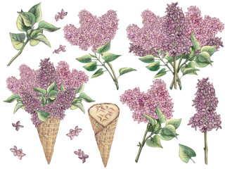 A large set of lilac flowers in an ice cream cone, a bouquet of lilacs, a blooming branch of lilac, a clipart on a white background. Watercolor illustration, botany in vintage style. Template