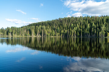 View to the green forest and blue sky reflecting on the surface of the lake. Beautiful summer landscape in countryside, republic of Karelia, Russia