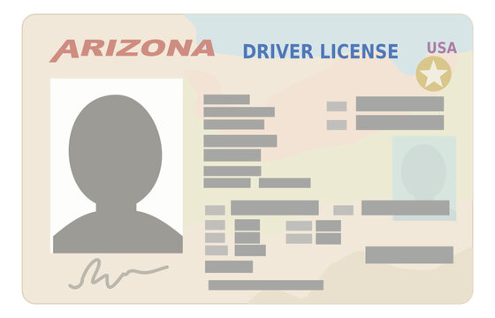 Arizona state driver's license in flat design style (cut out)