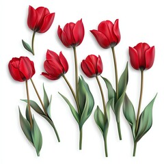 Obraz premium A beautiful arrangement of vibrant red tulips with lush green leaves, perfect for any floral design or spring themed project.