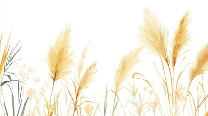 Watercolor tropical arrangement featuring golden pampas grass and abstract forms Hand painted linear design of the plant set against a white backdrop Floral illustration suitable for design print