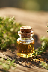 Thyme essential oil in a glass bottle. Aromatherapy or spa.