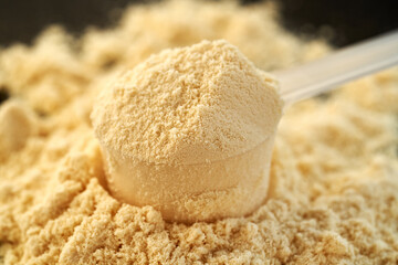 Vanilla flavored whey protein powder in a measuring cup