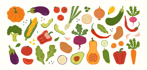 Hand drawn colorful vegetables and salad. Modern abstract minimal style. Healthy organic food. Tomatoes, onion, zucchini, eggplant, leek, potatoes, corn, peppers, beet. Vector flat illustration.
