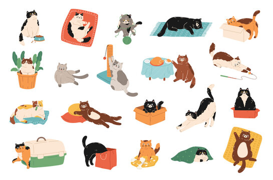 Cute cat activities set. Pet kitten home life: actions, scenes with scratching post, toys, carrier, bed, box, pillow, bag, feed, plant. Colored flat graphic illustration isolated on white background.