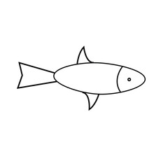 fish on a white background
