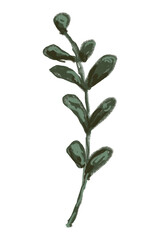 Aesthetic leaf branch png sticker, transparent background