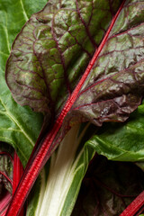 Red-stemmed chard. Swiss chard close up.