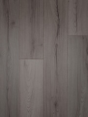 Elegant Grey Oak Wooden Plank Texture, Modern Timber Flooring Surface, Neutral Hardwood Design Background