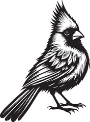 Fototapeta premium A black cardinal silhouette Silhouette for Versatile Applications. Vector Illustration