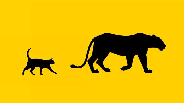 Silhouettes of lion and cat walking together, animation on the yellow background (seamless loop)