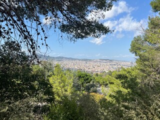 Amazing view of Barcelona through the trees