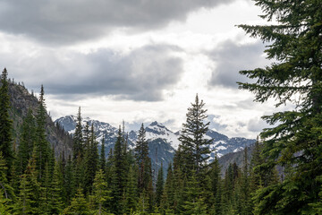 A stunning North Cascades mountain view on a cloudy day with a lot of greenery.