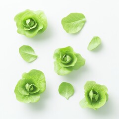 Obraz premium Adorable 3D Lettuce Illustration: Pastel Green, Minimalist Design