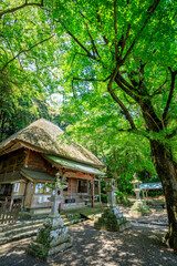 初夏の水堂安福寺 観音堂　佐賀県白石町　Mizudo Anpukuji Temple in early summer. Kannondo. Saga Pref, Shiraishi town.
