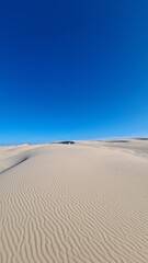 sand dunes on the beach