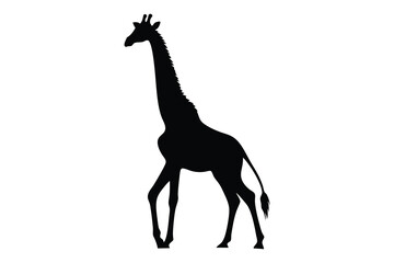 giraffe silhouette vector